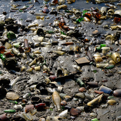 Washed up Bottles, Glass and other Debris on the beach at Dead Horse Bay/Glass Bottle Beach, Barren Island, Jamaica Bay Unit of the Gateway National Recreation Area, Brooklyn, New York, USA.