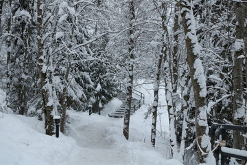 Winter landscapes in the mountains