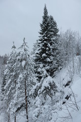 Winter landscapes in the mountains