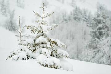 Obraz premium Beautiful mesmerizing harsh fog landscape