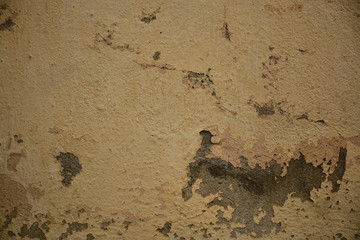 Beautiful vintage background. Abstract grunge decorative stucco wall texture.