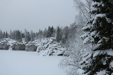 winter landscape with trees and snow