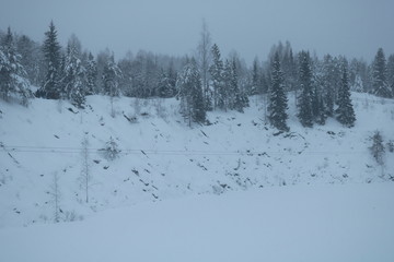 winter landscape with trees and snow