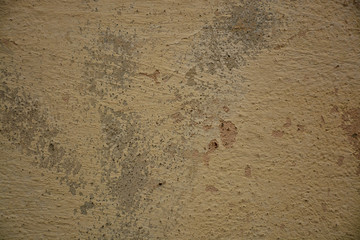 Beautiful vintage background. Abstract grunge decorative stucco wall texture.