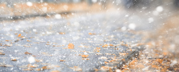 Background autumn park in the first snow