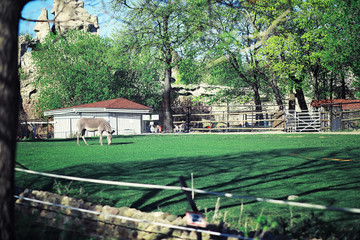 Bright spring greens at dawn in the forest. Nature comes to life in early spring.