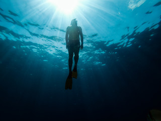 Diver emerge from the sea