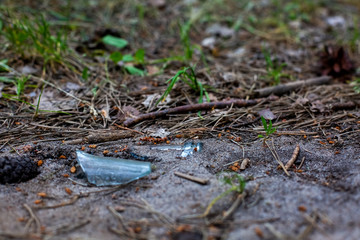 environmental ecology concept, trash in the forest, a splinter of a bottleneck from a glass bottle lies in the ground and grass. blur background