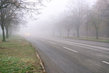 Fog. Car approaching with lights on on a city road.