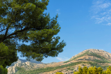 Coast of Adriatic sea. Mountains in Montenegro.