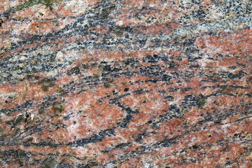 Orthogneis