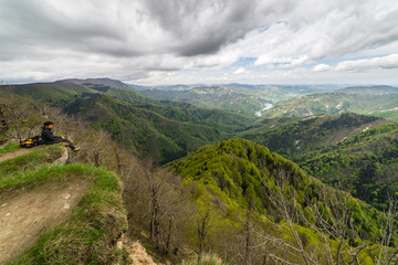 Fototapeta premium Green spring trees in the Casentino Forests National Park