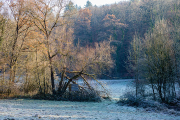 Tal im Stromberg mit Reif und Eis überzogen