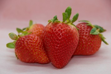 fresh strawberries on white background
