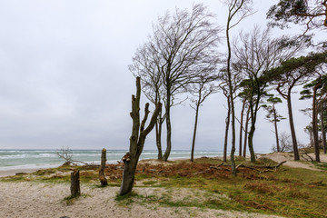 Weststrand auf dem Darß bei Ahrenshoop, Ostsee