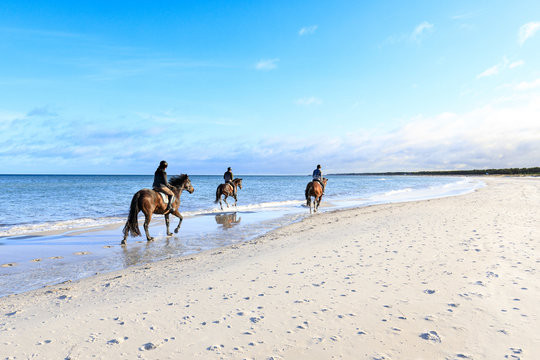 Einsame Reiter am Strand der Ostsee, Darß