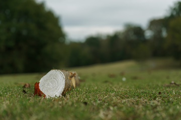 Fototapeta premium White Tee Marker on a Golf Course