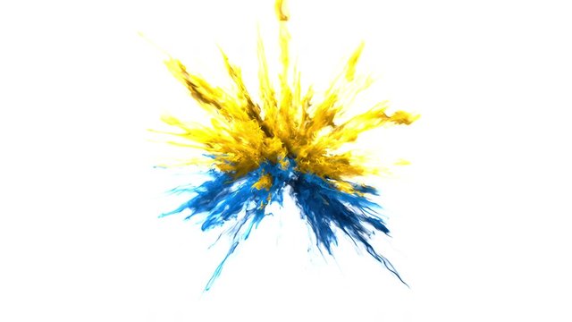 Yellow blue color burst - colorful smoke powder explosion of swirly particles or fluid ink in slow motion. Alpha matte isolated on white 60 fps