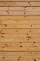 Coniferous wooden wall. Beautiful natural vertical background