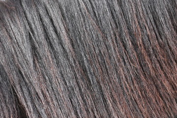 Details of beautiful reddish horse mane outdoors