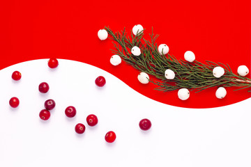 Red and white. Background of berries. Abstraction. Creative. Red Christmas background with ornament decoration. Christmas composition. Concept. Colorful diet and healthy food concept. Copy space.