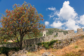 Fototapeta premium Old fortificated town in Montenegro - Stari Grad. Landscape with fortification and flowered tree.