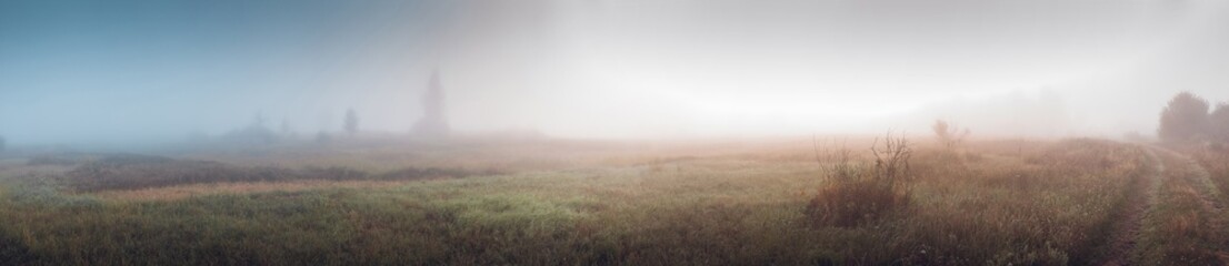 Obraz na płótnie Canvas foggy morning in the village. meadow, grass, low visibility