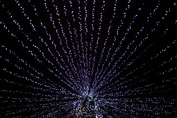 Christmas tree decorated with bright lamps. Big tree delivered for christmas. A lot of LEDs on the tree. Design of park illumination on holidays. Elegant city lighting.