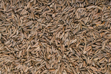 Caraway seeds background, top view.