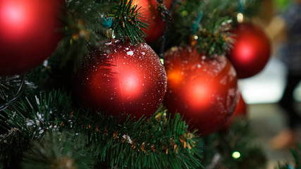 Fototapeta na wymiar Christmas decorations on the Christmas tree. Red ball.