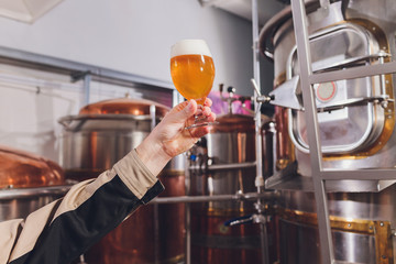 Mature man examining the quality of craft beer at brewery. Inspector working at alcohol manufacturing factory checking beer. Man in distillery checking quality control of draught beer.