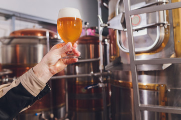 Mature man examining the quality of craft beer at brewery. Inspector working at alcohol manufacturing factory checking beer. Man in distillery checking quality control of draught beer.