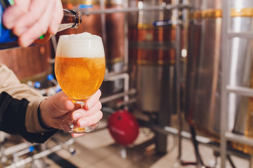 Mature man examining the quality of craft beer at brewery. Inspector working at alcohol manufacturing factory checking beer. Man in distillery checking quality control of draught beer.