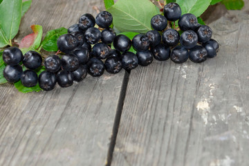 Red ripe berries of chokeberry, aronia (Aronia melanocarpa) on wooden table. Horizontal photo