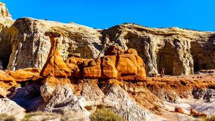 Toadstools Hoodoos in Grand Staircase-Escalante Monument in Utah, Unites States