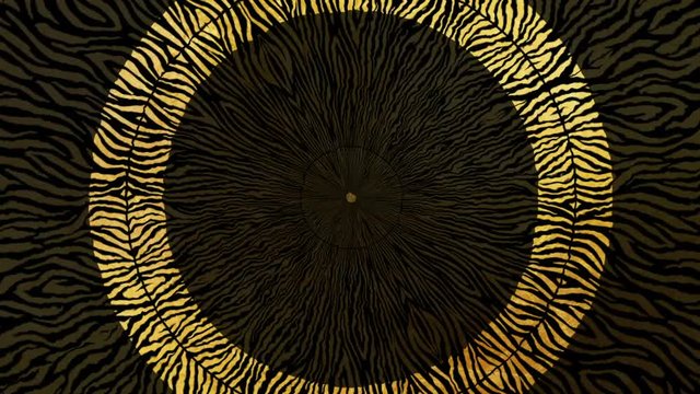 Animated african pattern VJ loop