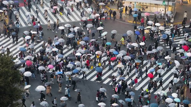 Thousands of people walk across the famous Shibuya Crossing in Tokyo Japan