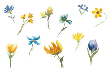 watercolor flowers 2