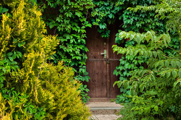 mysterious door in a green garden