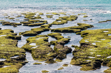 Stone shoal at low tide, Peninsula Valdes, Patagonia, Argentina