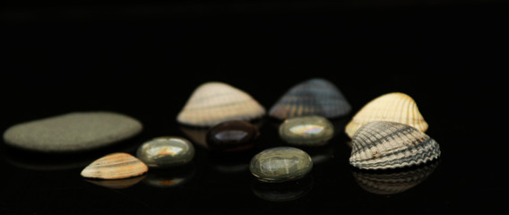 Seashells, glass rocks stones, marbles decorations