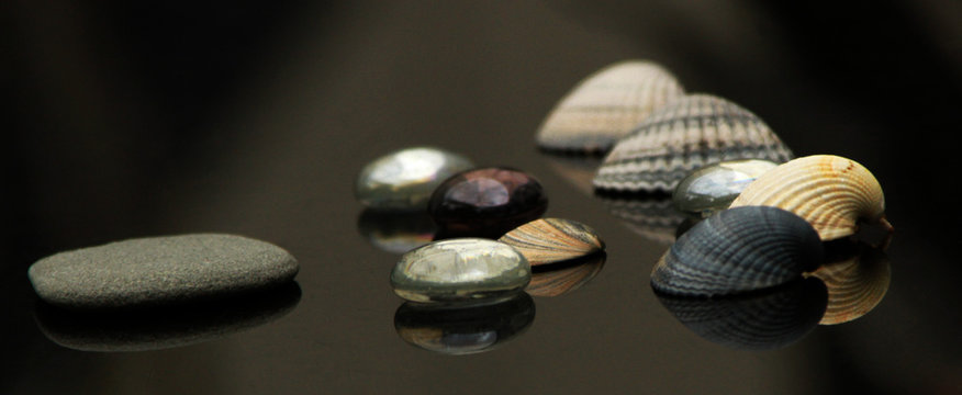 Seashells ,glass stones, marbels, colorful home decoration on black back ground
