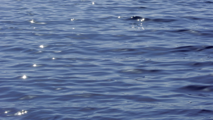 Blue water surface with soft waves. The deep blue sea, the waves glitter in the sun