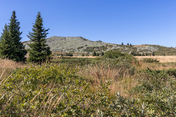 Autumn view of Vitosha Mountain, Bulgaria
