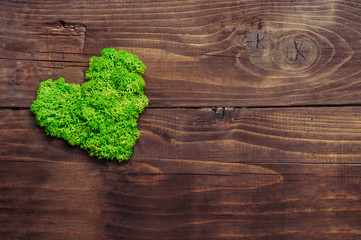 Green moss in a heart shape on dark rustic wooden background