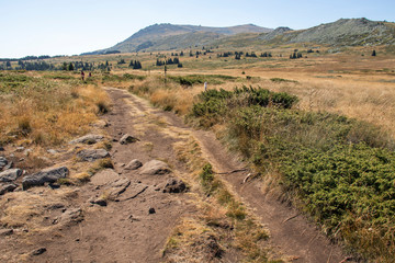 Autumn view of Vitosha Mountain, Bulgaria