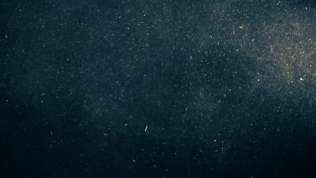 Natural Organic Dust Particles Floating On Black Background. Glittering Sparkling Particles Randomly Spin In The Air With Bokeh. Dynamic Particles With Fast And Slow Motion. Shimmering Dust In Space.