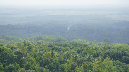 tropical forest in yogyakarta indonesia