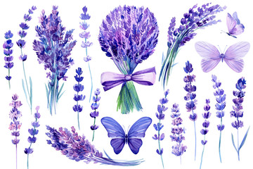 Set of watercolor purple butterflies, bouquet, lavender flowers  on an isolated white background, hand drawing, flora design © Hanna