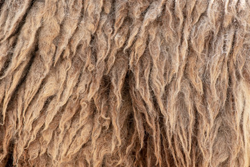 Fleece brown,Close up of fleece, exture background.